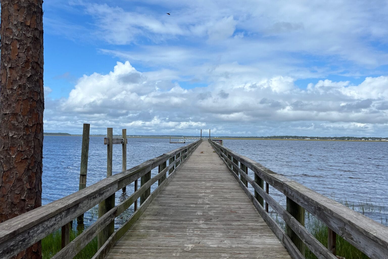 A wooden dock extending over a calm body of water under a partly cloudy sky, with a large tree trunk on the left and distant shoreline in the background.