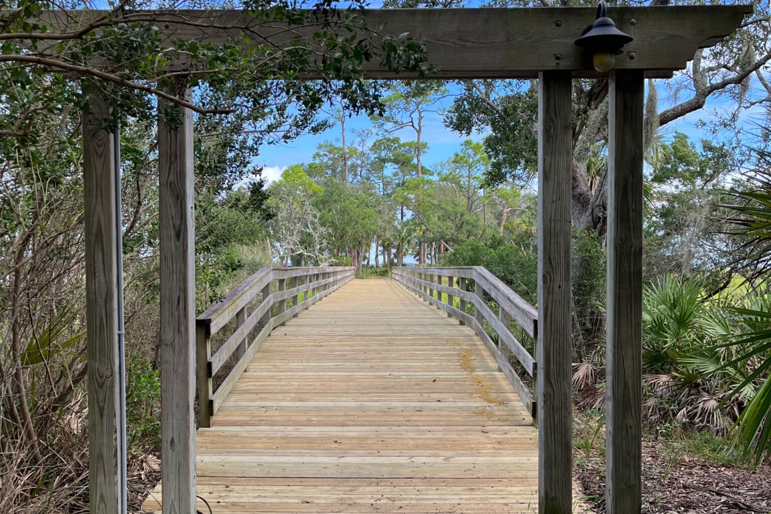 Boardwalk leading through lush greenery with trees and shrubs on both sides, under a wooden canopy with a light fixture.